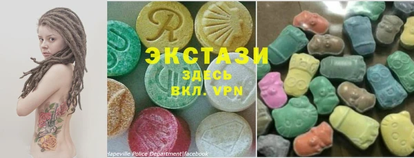 ECSTASY Богданович